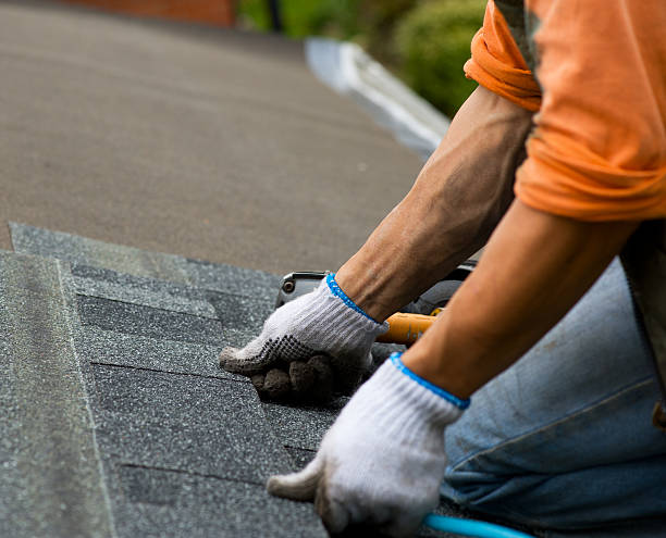 Best Roof Gutter Cleaning  in Montgomery, GA