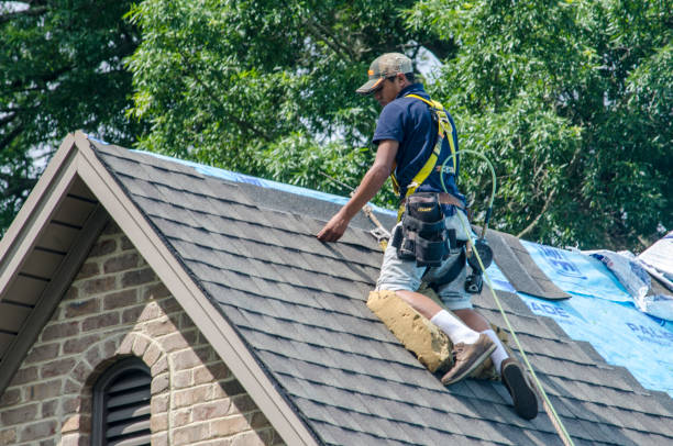 Best Roof Waterproofing Services  in Montgomery, GA